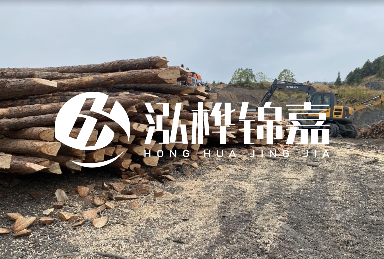 松木樁尾徑是什么意思？