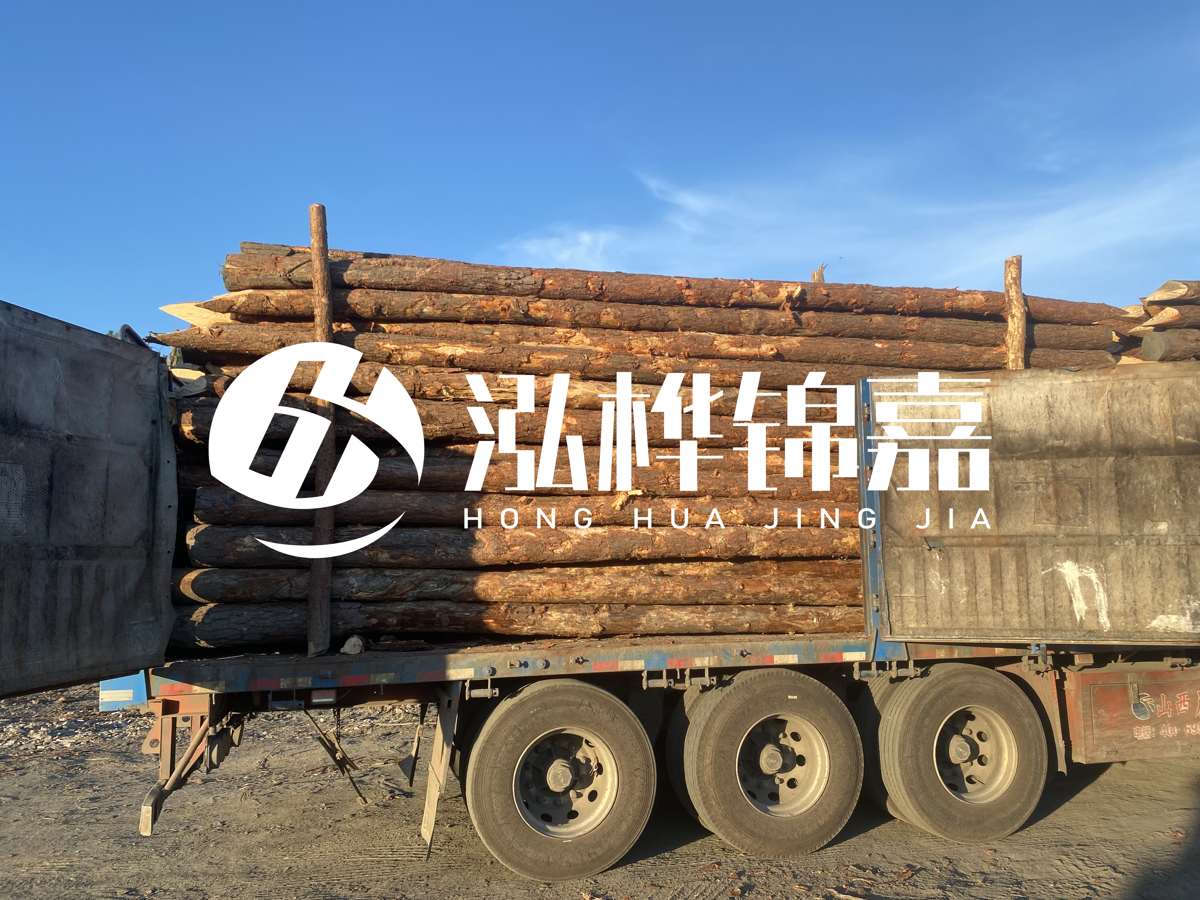 河道治理為什么要用松木樁？