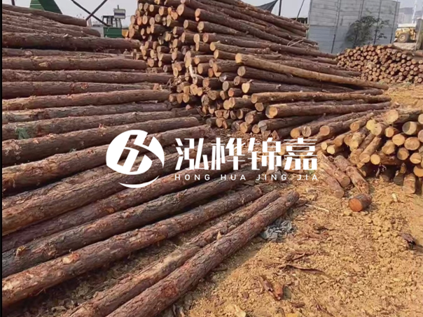 河道木樁施工遇到淤泥怎么辦？打多深才能防沖刷？
