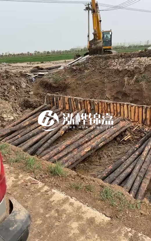 4米直徑12-13油松批發(fā)價最低多少？報價含稅含運嗎？