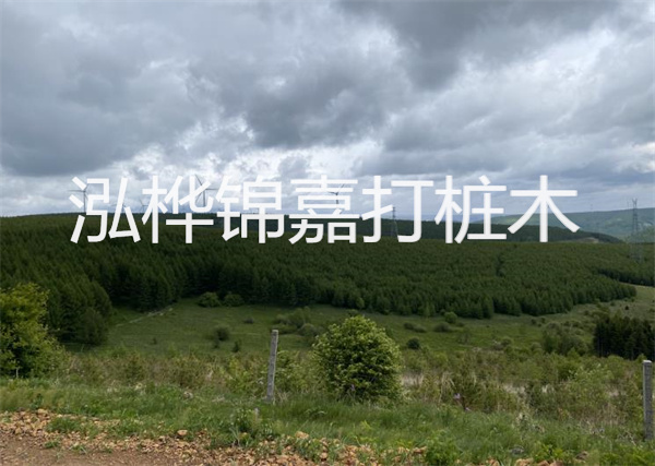 松木樁能重復(fù)施工么？