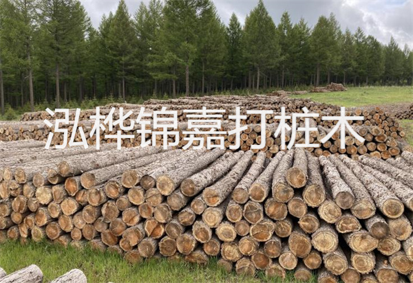 松木樁能施工嗎？探究視頻揭秘真相！