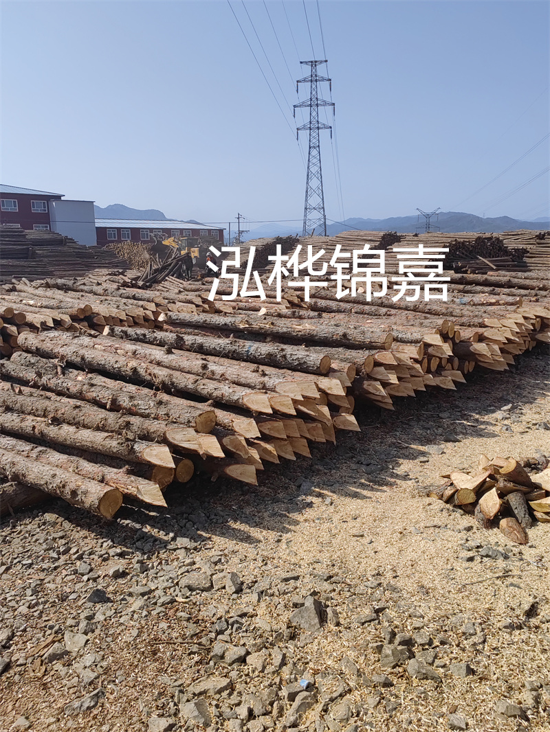 深入了解松木樁基礎(chǔ)施工單價(jià)，助力工程建設(shè)順利進(jìn)行！