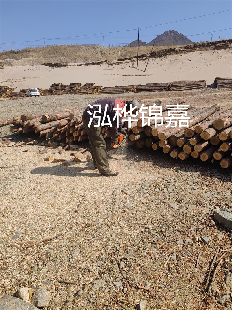 松木樁駁岸施工，打造水上風(fēng)景線