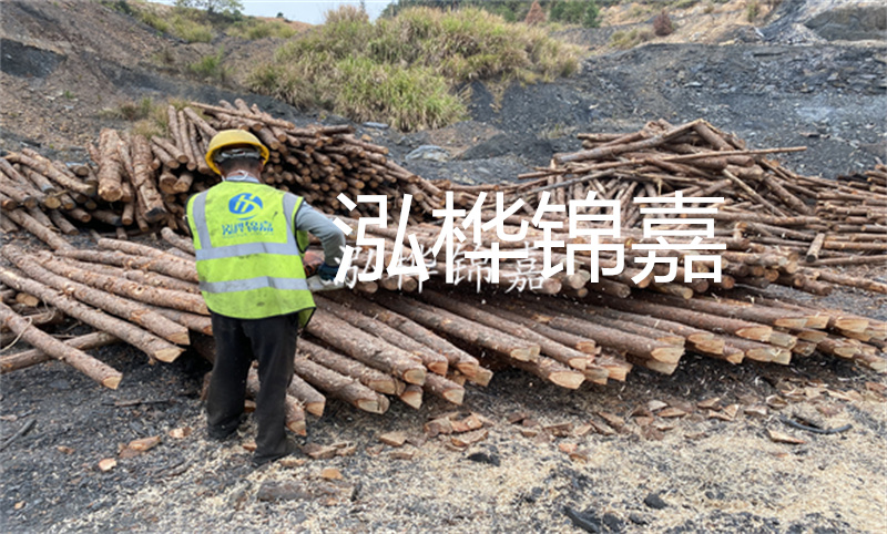 廣西哪里買(mǎi)松木樁？
