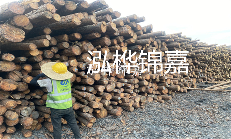 當(dāng)建筑需要強(qiáng)大支撐，鄭州這里有松木樁！