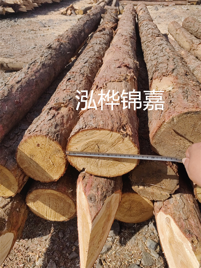 福建哪里買(mǎi)松木樁？