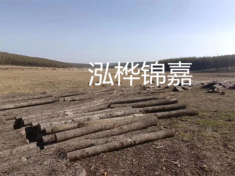 鄂州松木樁哪里好？推薦泓樺錦嘉松木樁業(yè)！